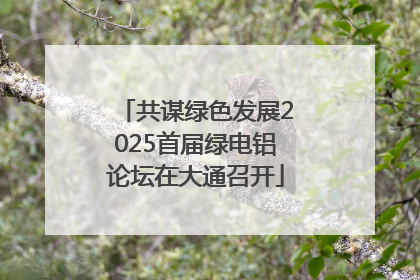 共谋绿色发展2025首届绿电铝论坛在大通召开