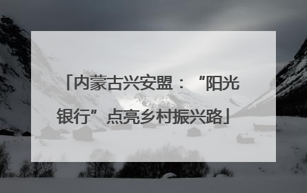 内蒙古兴安盟：“阳光银行”点亮乡村振兴路