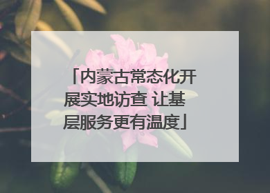 内蒙古常态化开展实地访查 让基层服务更有温度