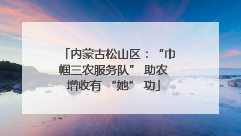 内蒙古松山区：“巾帼三农服务队” 助农增收有 “她” 功