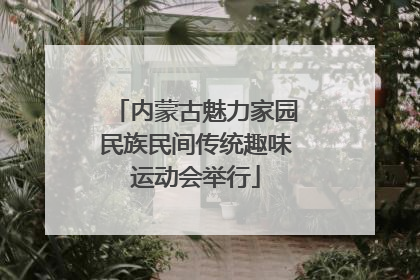 内蒙古魅力家园民族民间传统趣味运动会举行