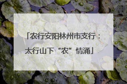 农行安阳林州市支行：太行山下“农”情涌