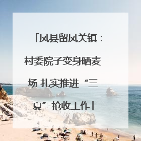 凤县留凤关镇：村委院子变身晒麦场 扎实推进“三夏”抢收工作