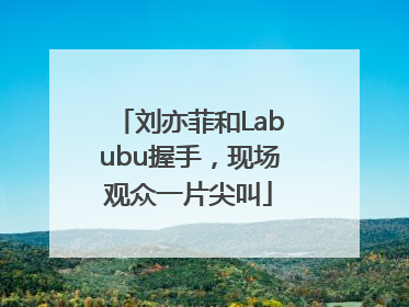 刘亦菲和Labubu握手，现场观众一片尖叫