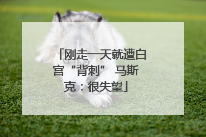 刚走一天就遭白宫“背刺” 马斯克：很失望