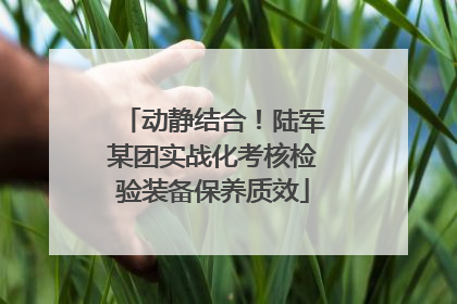 动静结合！陆军某团实战化考核检验装备保养质效