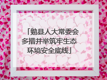 勉县人大常委会多措并举筑牢生态环境安全底线