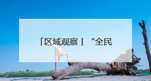 区域观察丨“全民参与+城市荣誉”的“苏超”能否复制