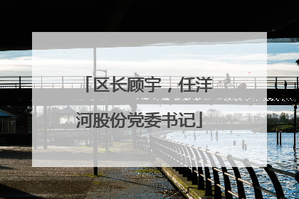 区长顾宇，任洋河股份党委书记