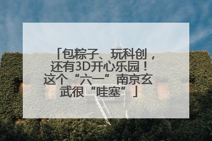 包粽子、玩科创，还有3D开心乐园！这个“六一”南京玄武很“哇塞”