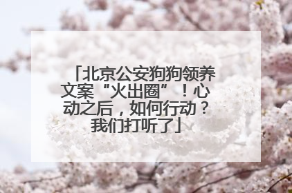 北京公安狗狗领养文案“火出圈”！心动之后，如何行动？我们打听了