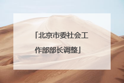 北京市委社会工作部部长调整