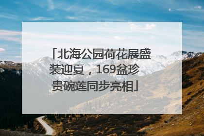 北海公园荷花展盛装迎夏，169盆珍贵碗莲同步亮相