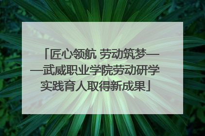 匠心领航 劳动筑梦——武威职业学院劳动研学实践育人取得新成果