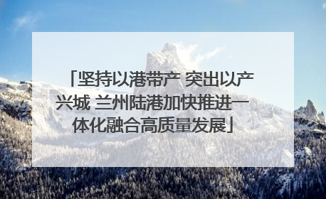 坚持以港带产 突出以产兴城 兰州陆港加快推进一体化融合高质量发展