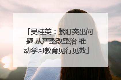 吴桂英：紧盯突出问题 从严整改整治 推动学习教育见行见效