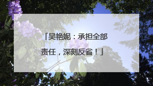 吴艳妮：承担全部责任，深刻反省！