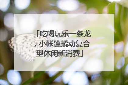 吃喝玩乐一条龙，小帐篷撬动复合型休闲新消费