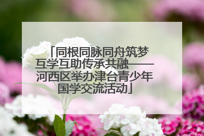 同根同脉同舟筑梦 互学互助传承共融——河西区举办津台青少年国学交流活动