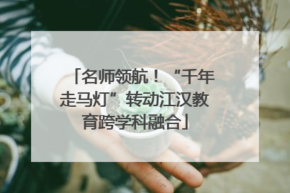 名师领航！“千年走马灯”转动江汉教育跨学科融合