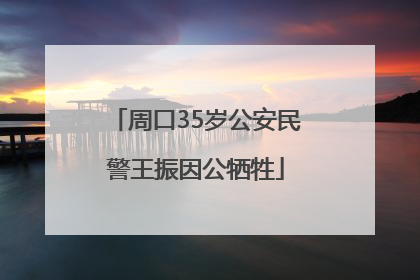 周口35岁公安民警王振因公牺牲