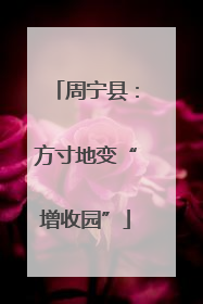 周宁县：方寸地变“增收园”