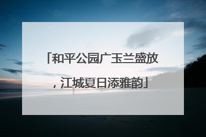 和平公园广玉兰盛放，江城夏日添雅韵