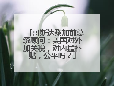 哥斯达黎加前总统顾问：美国对外加关税，对内猛补贴，公平吗？