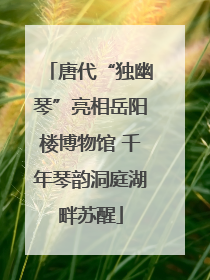 唐代“独幽琴”亮相岳阳楼博物馆 千年琴韵洞庭湖畔苏醒