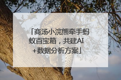 商汤小浣熊牵手蚂蚁百宝箱，共建AI+数据分析方案