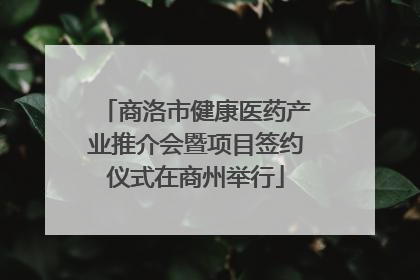 商洛市健康医药产业推介会暨项目签约仪式在商州举行