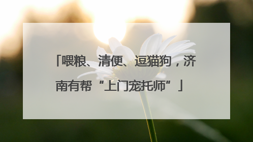 喂粮、清便、逗猫狗，济南有帮“上门宠托师”