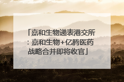 嘉和生物递表港交所：嘉和生物+亿腾医药战略合并即将收官