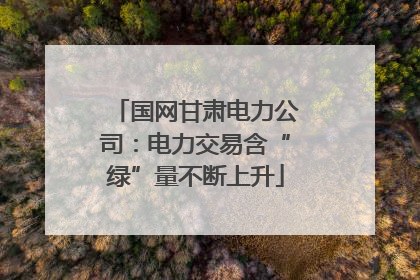 国网甘肃电力公司：电力交易含“绿”量不断上升