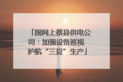 国网上蔡县供电公司：加强设备巡视 护航“三夏”生产