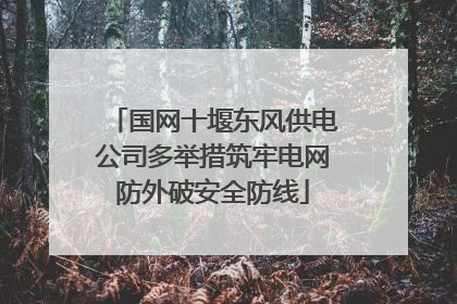 国网十堰东风供电公司多举措筑牢电网防外破安全防线