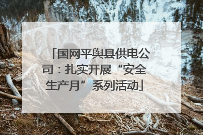 国网平舆县供电公司：扎实开展“安全生产月”系列活动