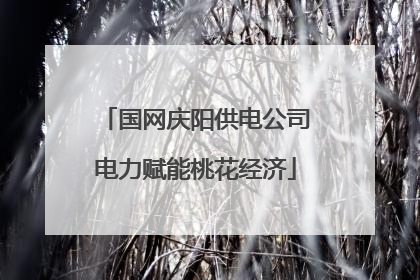 国网庆阳供电公司电力赋能桃花经济