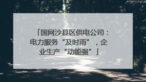国网沙县区供电公司：电力服务“及时雨”，企业生产“动能强”