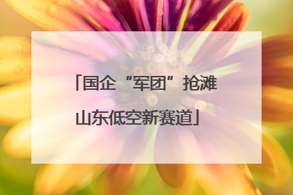 国企“军团”抢滩山东低空新赛道