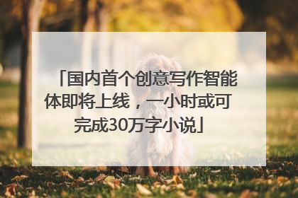国内首个创意写作智能体即将上线，一小时或可完成30万字小说