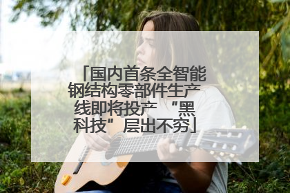 国内首条全智能钢结构零部件生产线即将投产 “黑科技”层出不穷