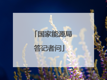 国家能源局答记者问