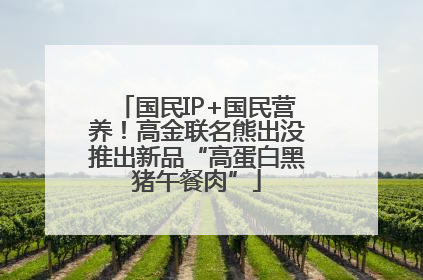 国民IP+国民营养！高金联名熊出没推出新品“高蛋白黑猪午餐肉”