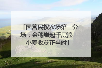 国营民权农场第三分场：金穗卷起千层浪 小麦收获正当时