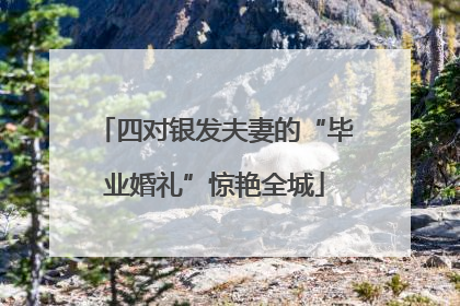 四对银发夫妻的“毕业婚礼”惊艳全城