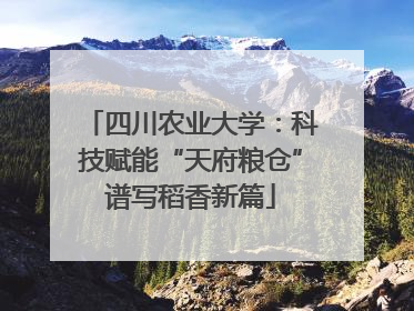四川农业大学：科技赋能“天府粮仓”谱写稻香新篇