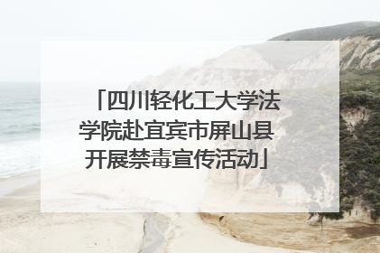 四川轻化工大学法学院赴宜宾市屏山县开展禁毒宣传活动