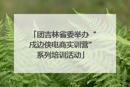 团吉林省委举办“戍边侠电商实训营”系列培训活动