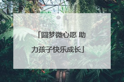 圆梦微心愿 助力孩子快乐成长